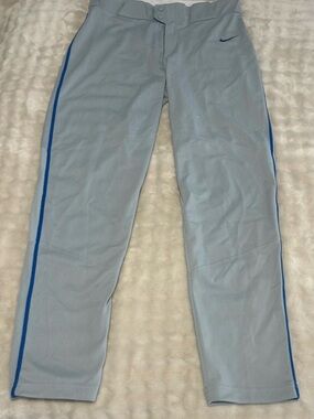 Nike Men’s Light Gray Sweatpants with Blue Side Stripes
